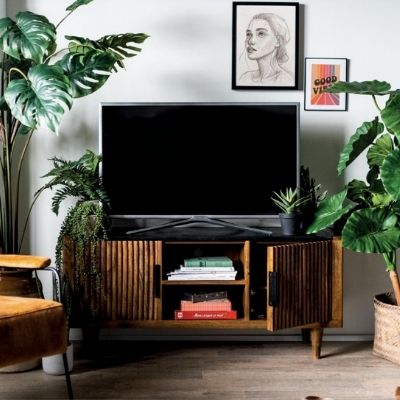 Carter entertainment center discount